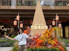 -瑞虹新天地月亮湾