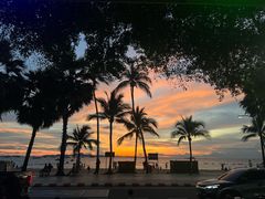 -Green Tree Rest. & Pub