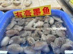 -南沙十九涌渔人码头-南门