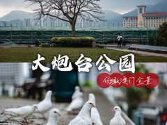 -大炮台