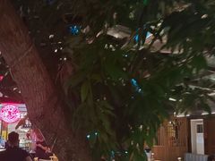 -海岛八号龙虾烧烤田鸡(蓝天路总店)