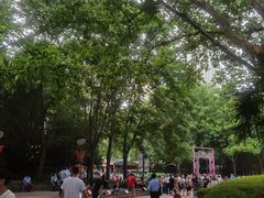 -人民公园-相亲角