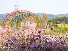-三圣花乡旅游区