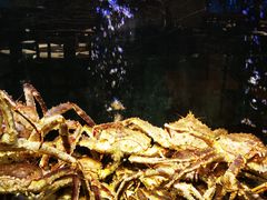 -滋粥楼·顺德菜海鲜茶点(方舟店)
