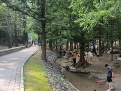 -白水寺森林公园