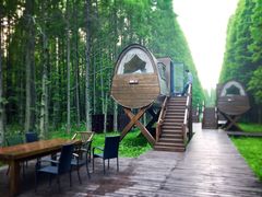 -黄海国家森林公园