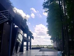 -上海月湖雕塑公园