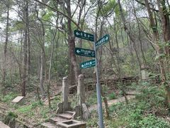 -紫金山山顶公园