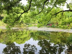 -杭州植物园