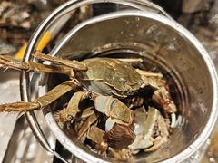 -亚马逊海鲜自助(梅溪湖步步高店)