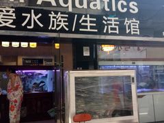 -武汉花鸟市场