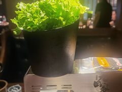 -九田家黑牛烤肉料理(新辰里亚运村店)