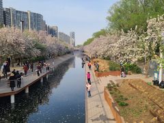 -海棠花溪(元大都城垣遗址公园)