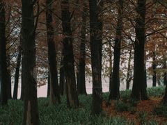 -诺贝尔湖公园