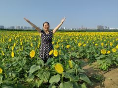 -汉长安城未央宫国家考古遗址公园