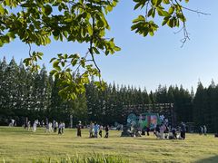 -黄海国家森林公园