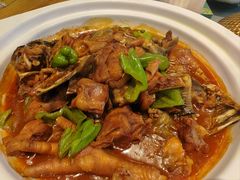 土鸡烧甲鱼-香阁餐厅·常州菜·常州菜代表品牌(新北奥体店)