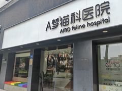 -御宝贝·A梦猫科宠物医院(国际猫友好医院)