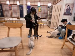-Let's go狗咖·猫咖·奶狗·桌游(春熙路IFS店)