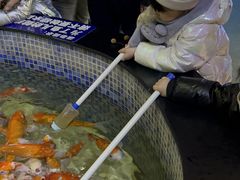 -烟台海昌鲸鲨海洋公园