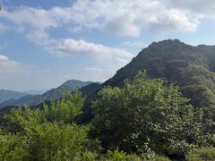 -大岭沟猕猴桃谷风景区