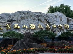 -北京西山国家森林公园