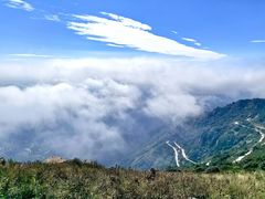 -白草畔自然风景区
