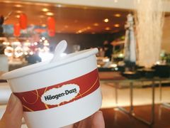 哈根达斯雪糕-东莞旗峰山酒店及行政公寓·莱斯西餐厅