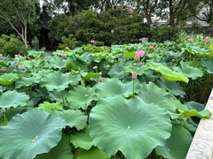 -龚家花园农家乐休闲别墅