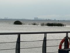 -苏州太湖国际会议中心