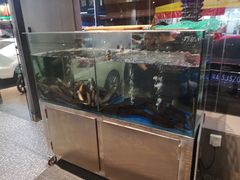 水产区-本炙炭烤·蒲烧活鳗料理店(金沙洲店)