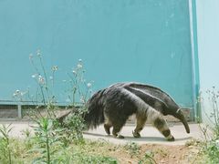-无锡动物园·太湖欢乐园