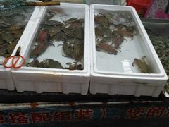 -登州市场(登州路店)