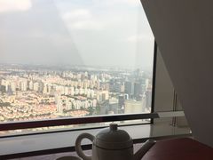 -上海柏悦酒店