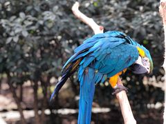 -杭州野生动物世界