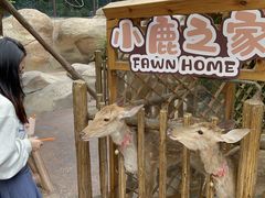 -杭州开元森泊度假乐园