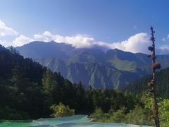 -黄龙山原始森林景区