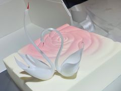 -BLACKSWAN黑天鹅(环球店)