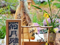 -杭州植物园