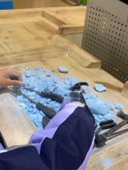 -卡通尼·Safari非洲探索乐园·生日会(金桥国际商业广场店)