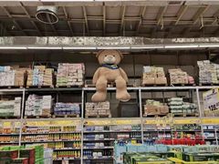 -麦德龙(郑东店)