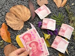-东莞植物园