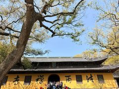 -普陀山风景名胜区-法雨禅寺