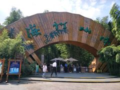 -镇江市南山风景名胜区竹林景区