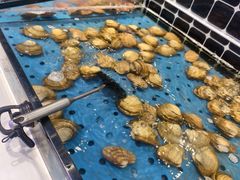 -川骄海鲜自助(河东店)