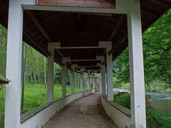 -水墨汀溪风景区
