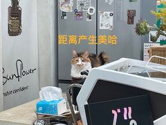 -玫瑰咖啡(中山六路店)