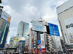 -秋叶原电器街