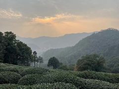-西湖风景区十里琅珰-五云山