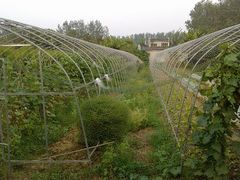 -武汉世外桃源农庄